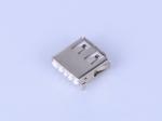 MID MOUNT 2,0 mm A Female Dip 90 USB jungtis